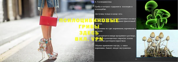 дживик Остров