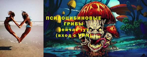 герыч Алексин