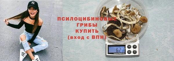 а пвп мука Алзамай