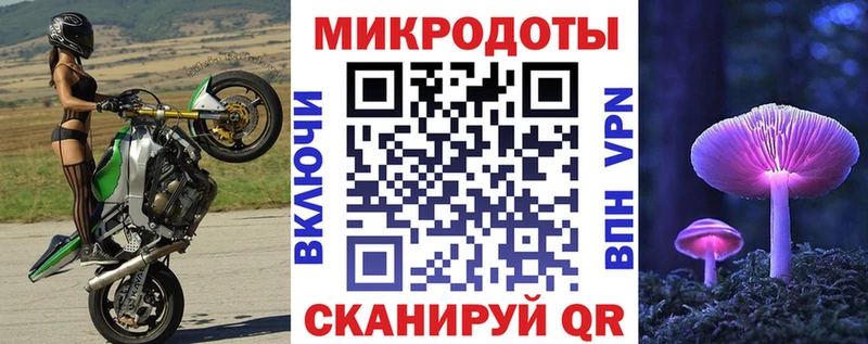 Псилоцибиновые грибы Psilocybe  Анапа 