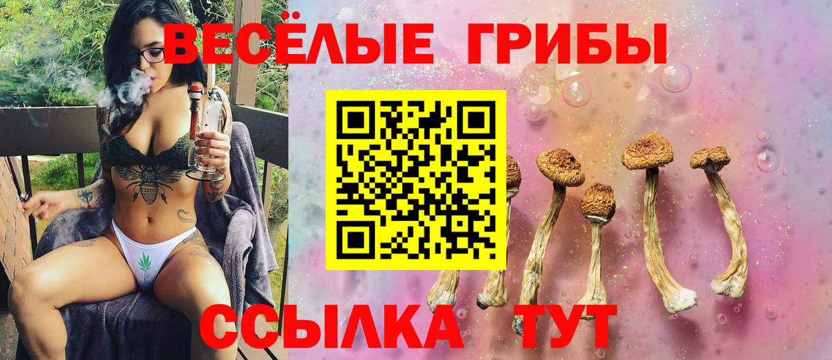 Анапа  Псилоцибиновые грибы мухоморы  Вход с VPN 