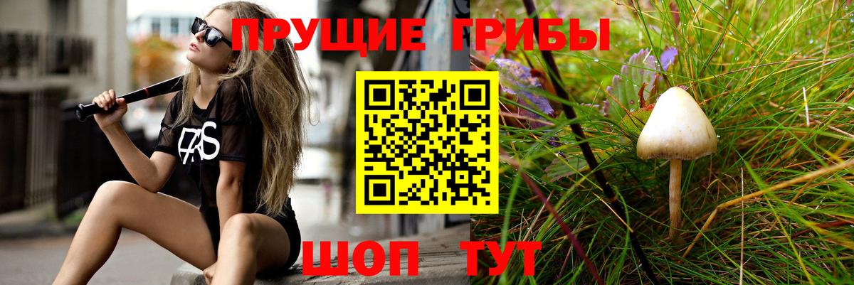 Галлюциногенные грибы мицелий Анапа